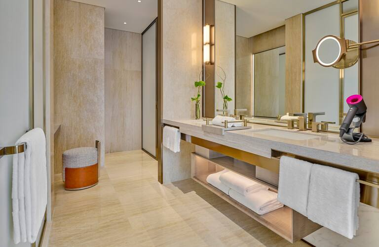 Hilton Shanghai Zhangjiang Science City 24/85