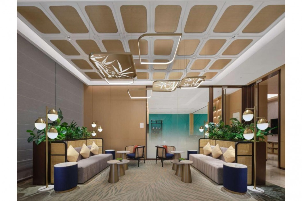 Hilton Garden Inn Chengdu Tianfu Panda Tower 29/39