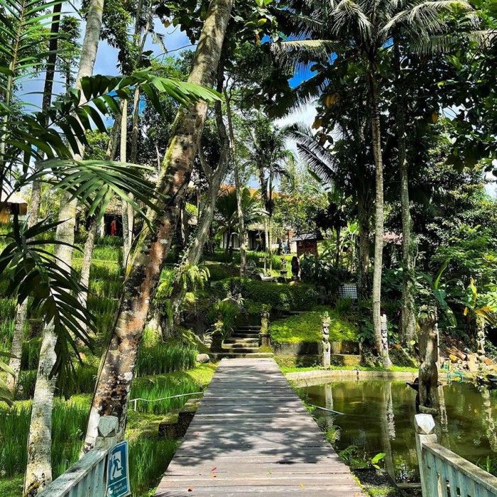 Ubud Sari Health Resort 8/84
