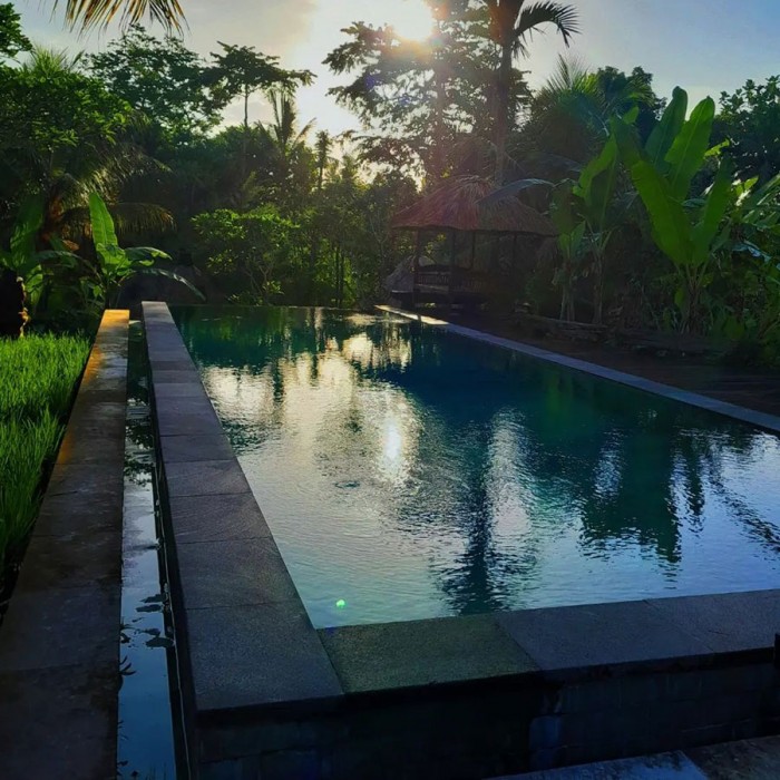 Ubud Sari Health Resort 62/84