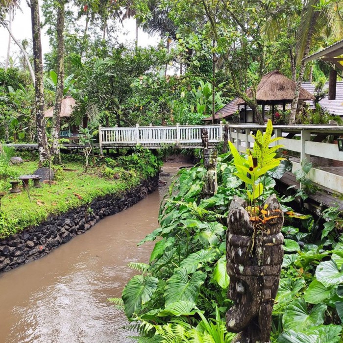 Ubud Sari Health Resort 6/84