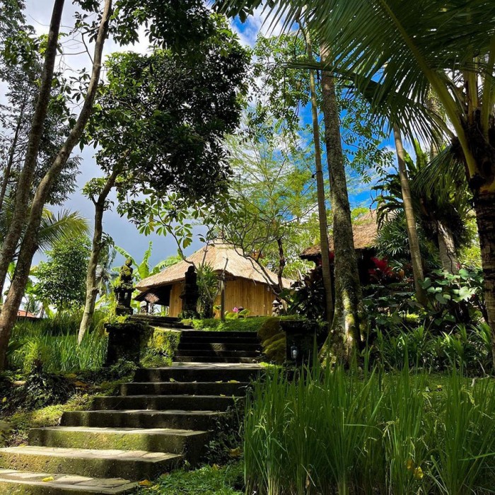 Ubud Sari Health Resort 11/84