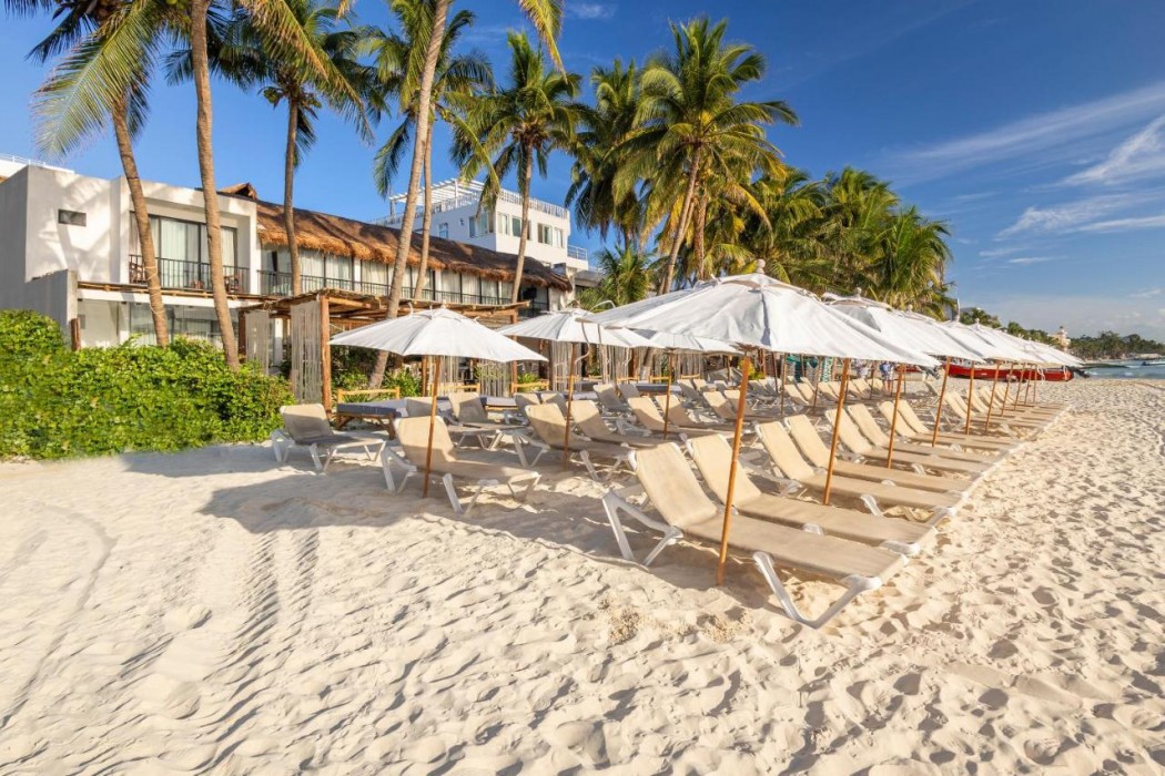 Areia Playa del Carmen 1/69