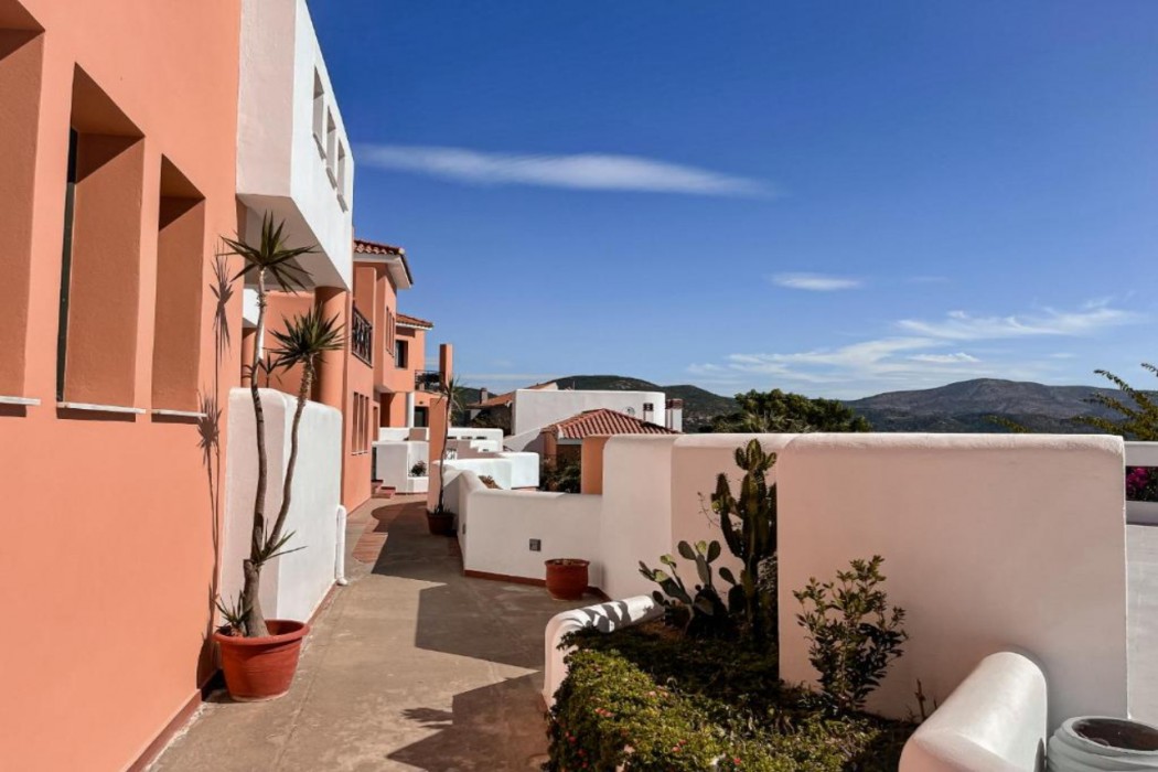Nisea酒店Samos(Nisea Hotel Samos) 图片5