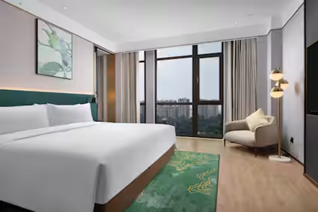 Hilton Garden Inn Leshan Shizhong 13/25