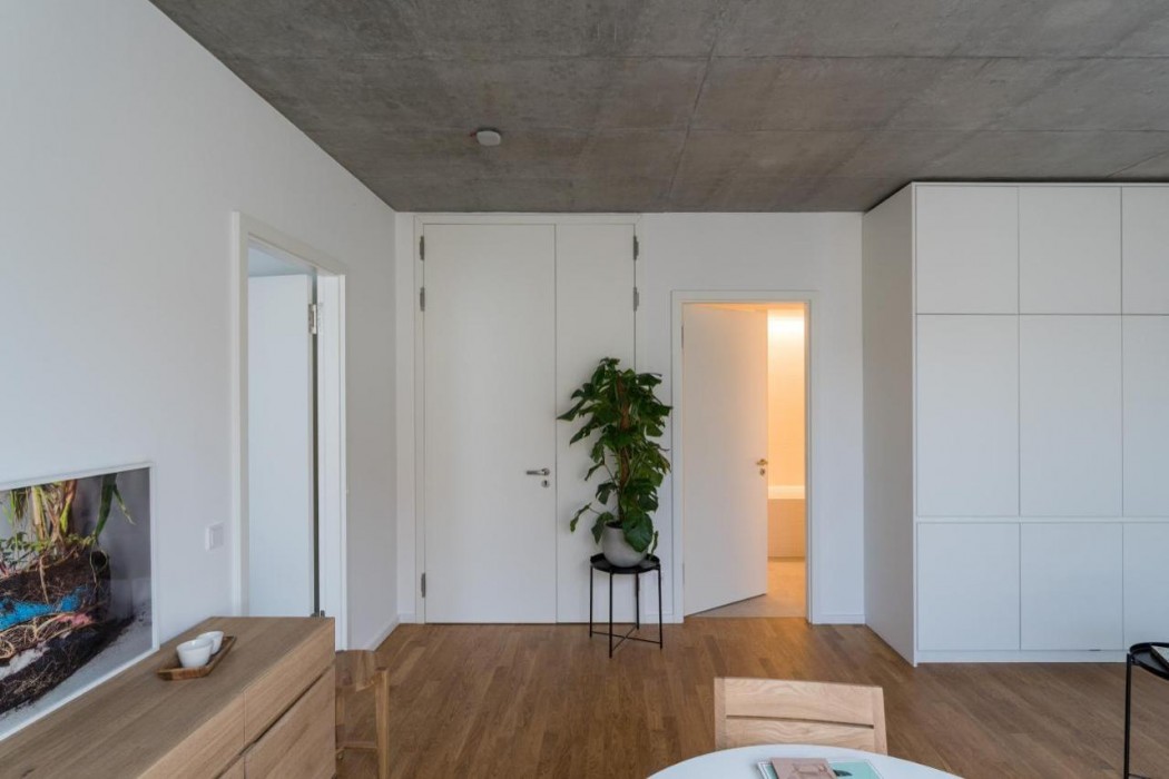 Carlotta Apartments 11/47