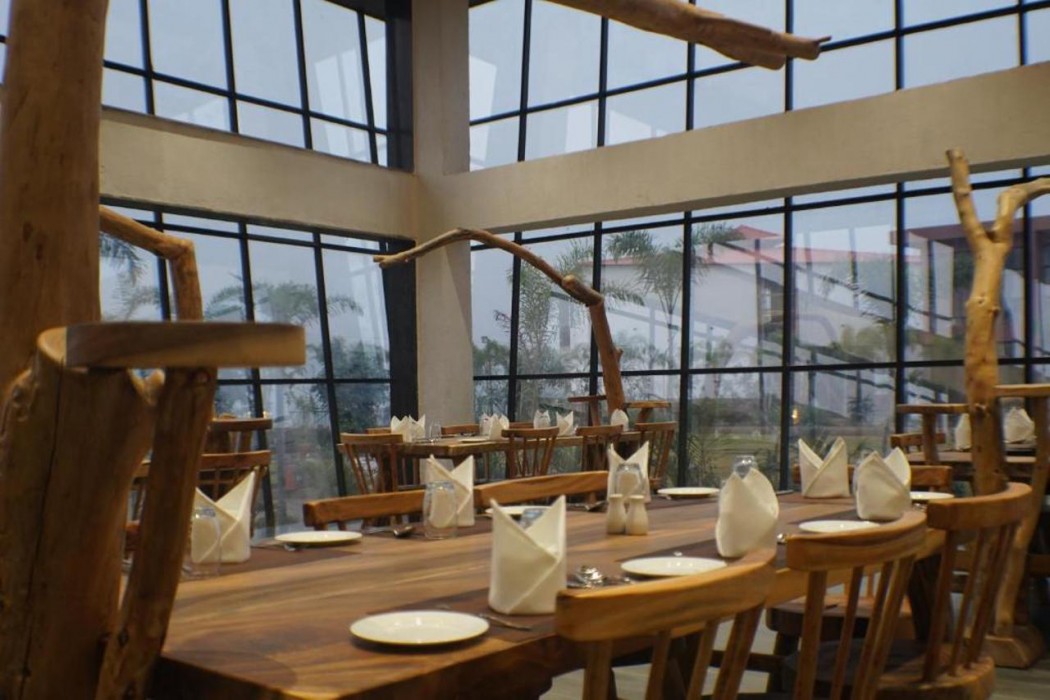 The Fern Heaven on The Hills, Hatgad-Saputara 23/60
