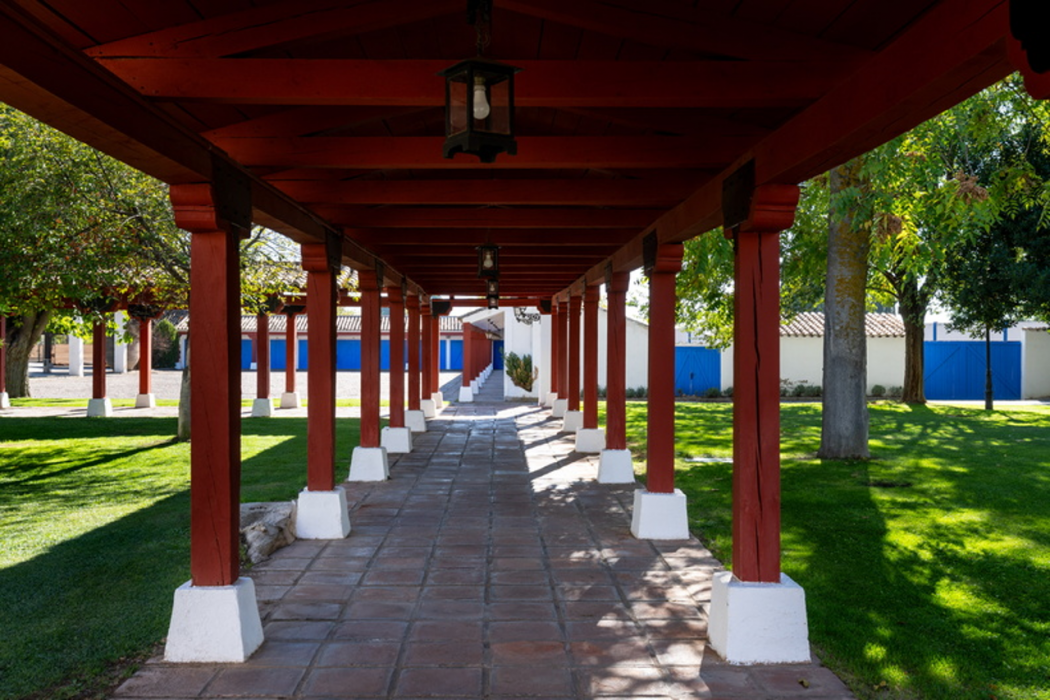 Parador De Manzanares 2/65