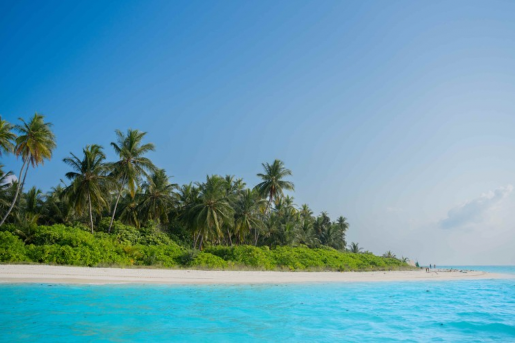 Coral Pearl, Lakshadweep - IHCL SeleQtions 6/18