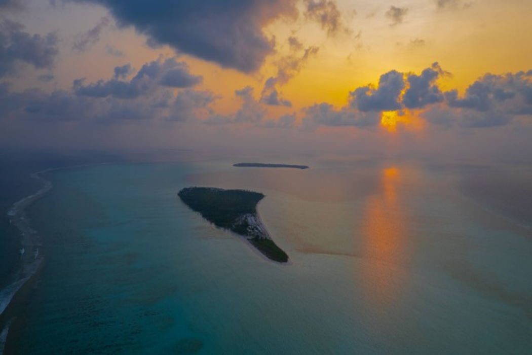 Coral Pearl, Lakshadweep - IHCL SeleQtions 5/18