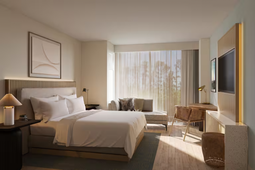 Hilton Jacksonville at Mayo Clinic 13/42