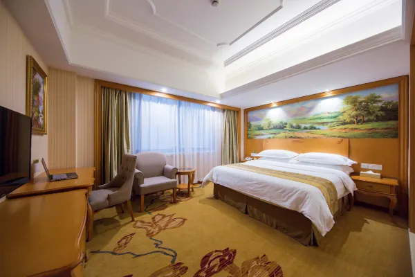 Vienna International Hotel (Shanghai Pudong Airport East Station) 13/33