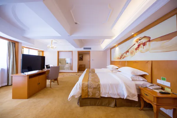 Vienna International Hotel (Shanghai Pudong Airport East Station) 12/33