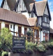 The Red Lion 1/46
