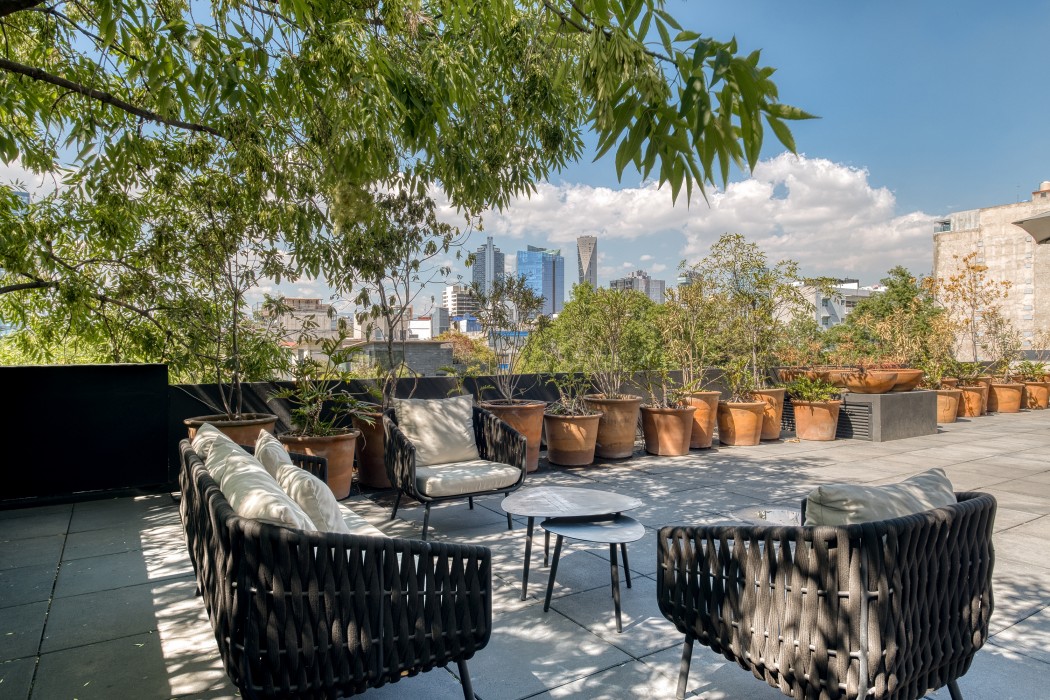 Boga Mexico City by Lumina 88/121