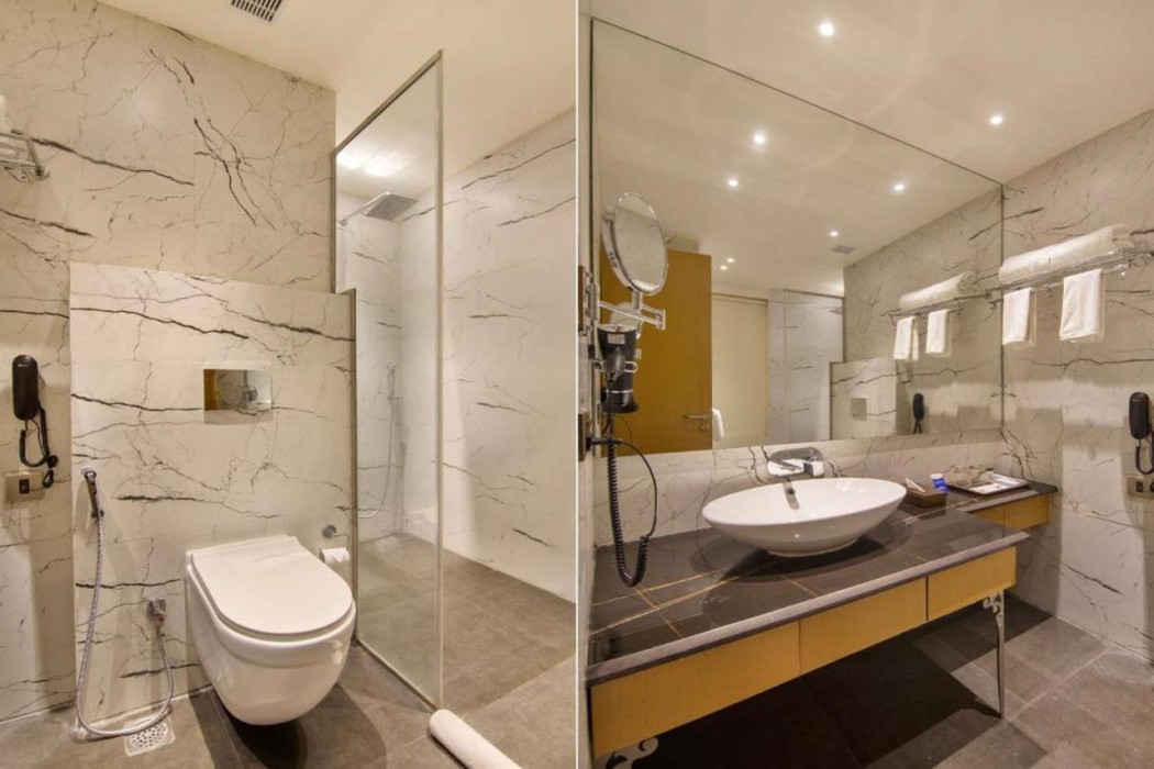 Sarovar Portico Sonepat 10/37