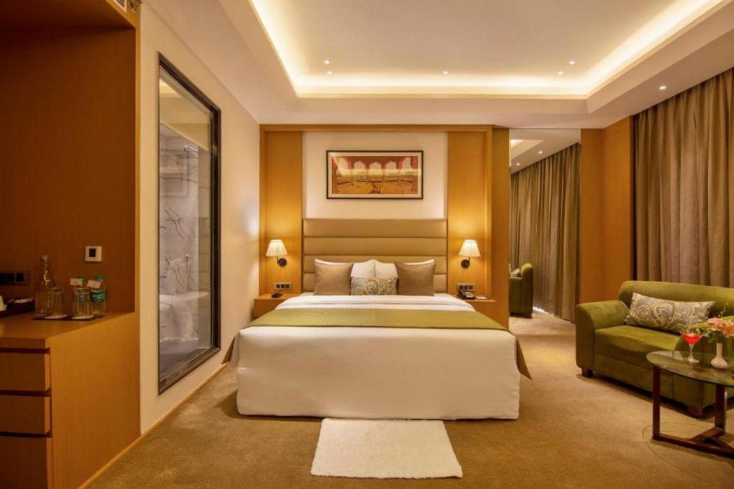 Sarovar Portico Sonepat 7/37