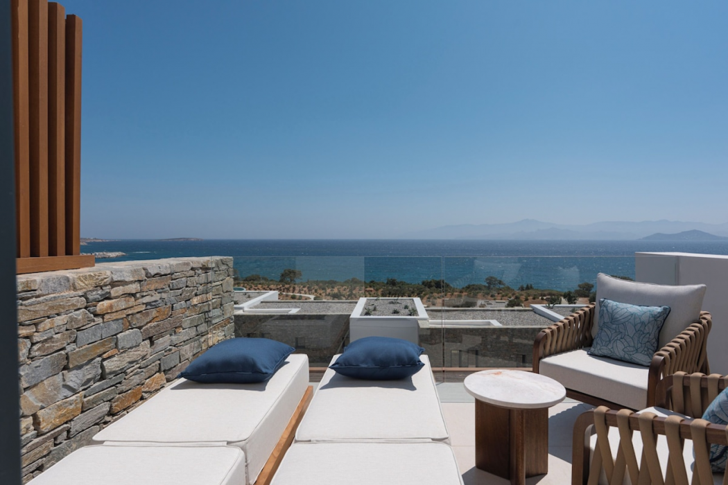 Vione Paros 12/31