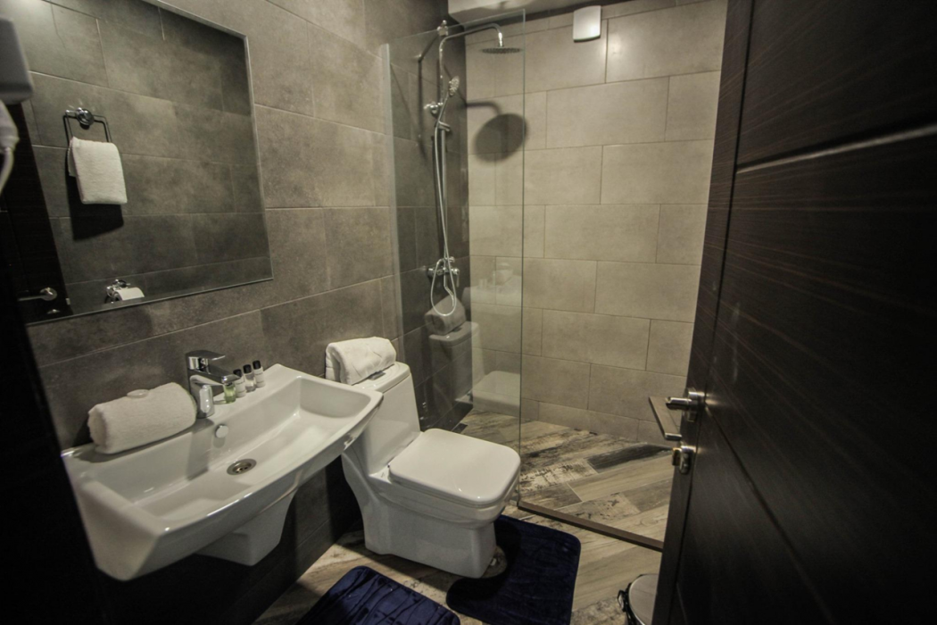 Borjomi Underwood Hotel 13/60