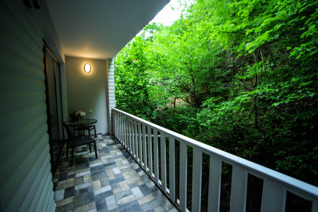 Borjomi Underwood Hotel 24/60