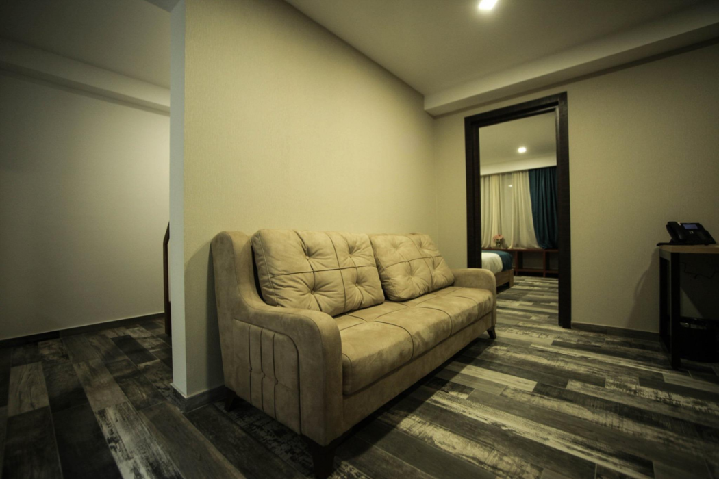 Borjomi Underwood Hotel 15/60