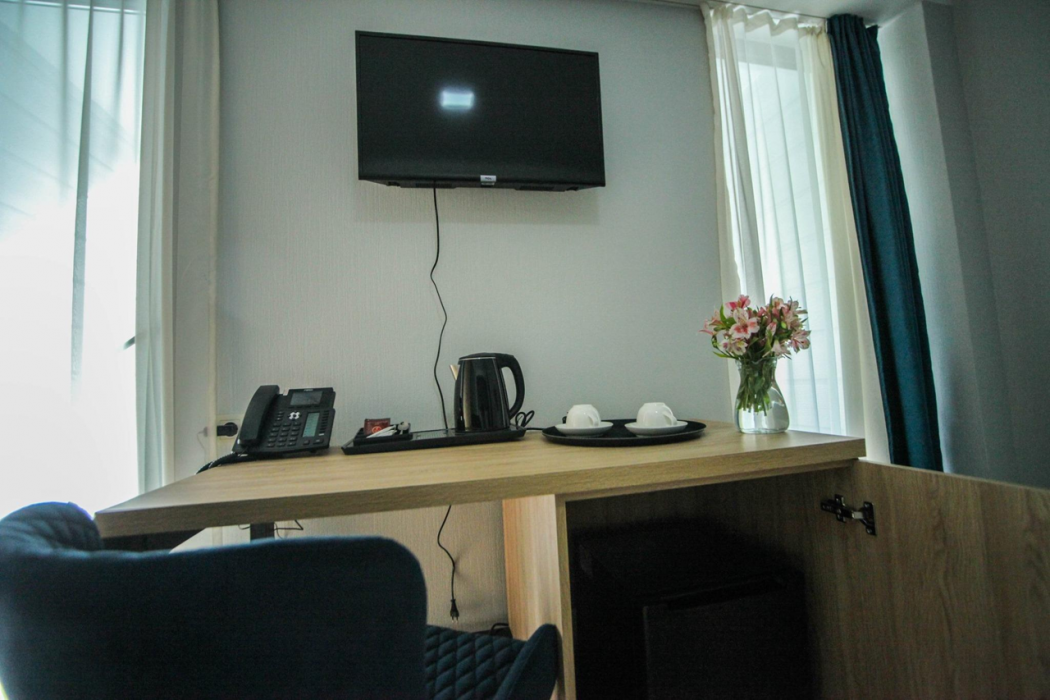Borjomi Underwood Hotel 20/60
