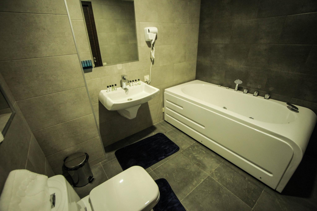 Borjomi Underwood Hotel 17/60