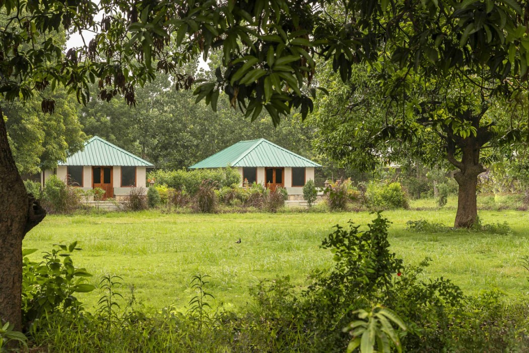 ZANA Forest Resort Ranthambore in SAWAI MADHOPUR
