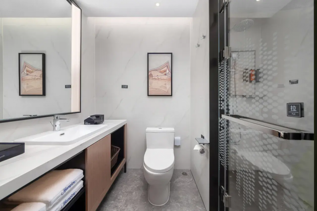 Hampton by Hilton Chengdu Wuhou New City 14/71