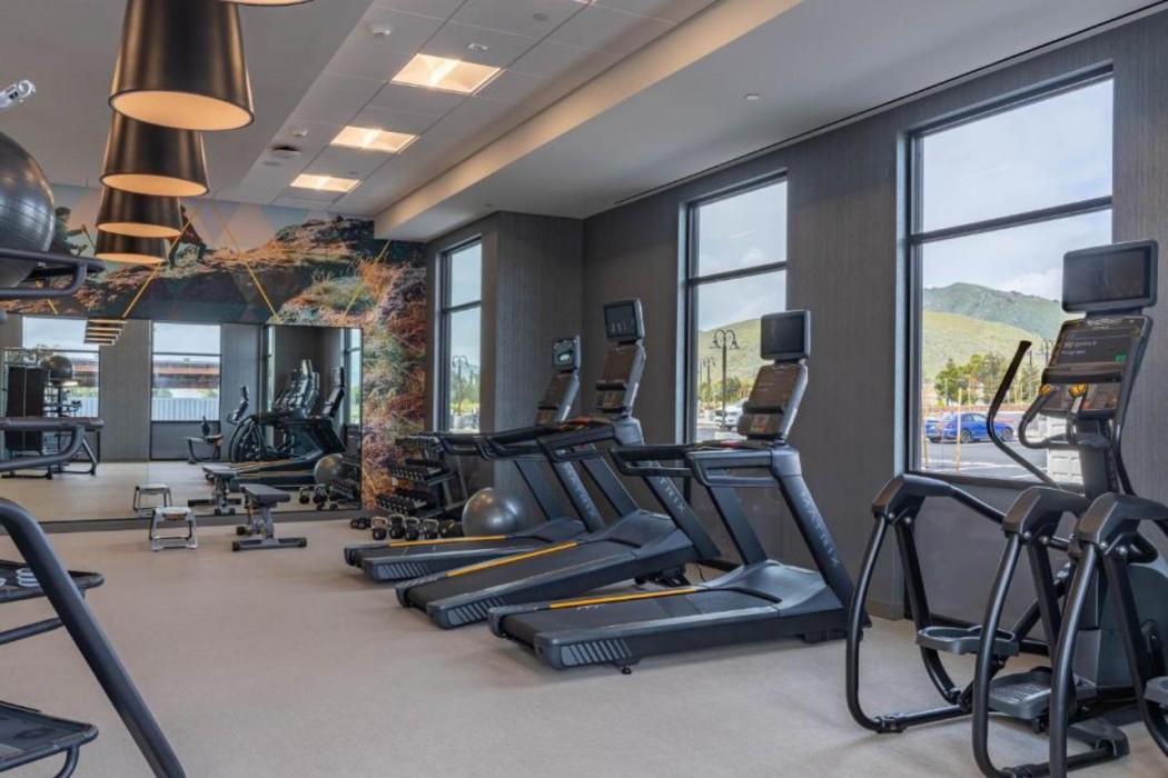 SpringHill Suites By Marriott San Luis Obispo 41/65