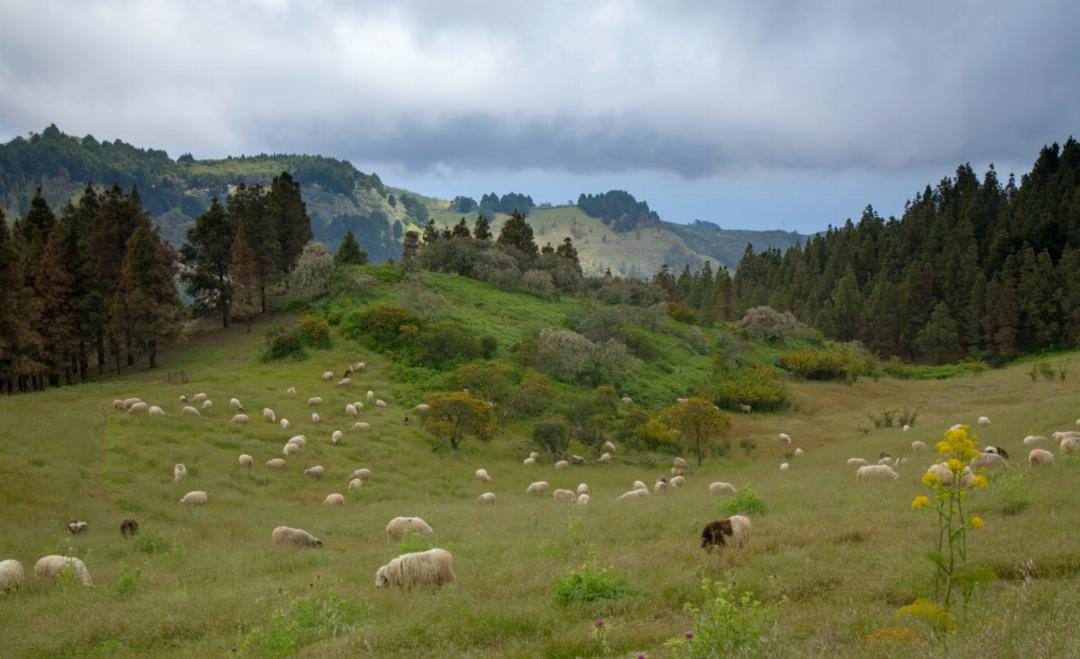 Hotel Rural El Refugio 26/75