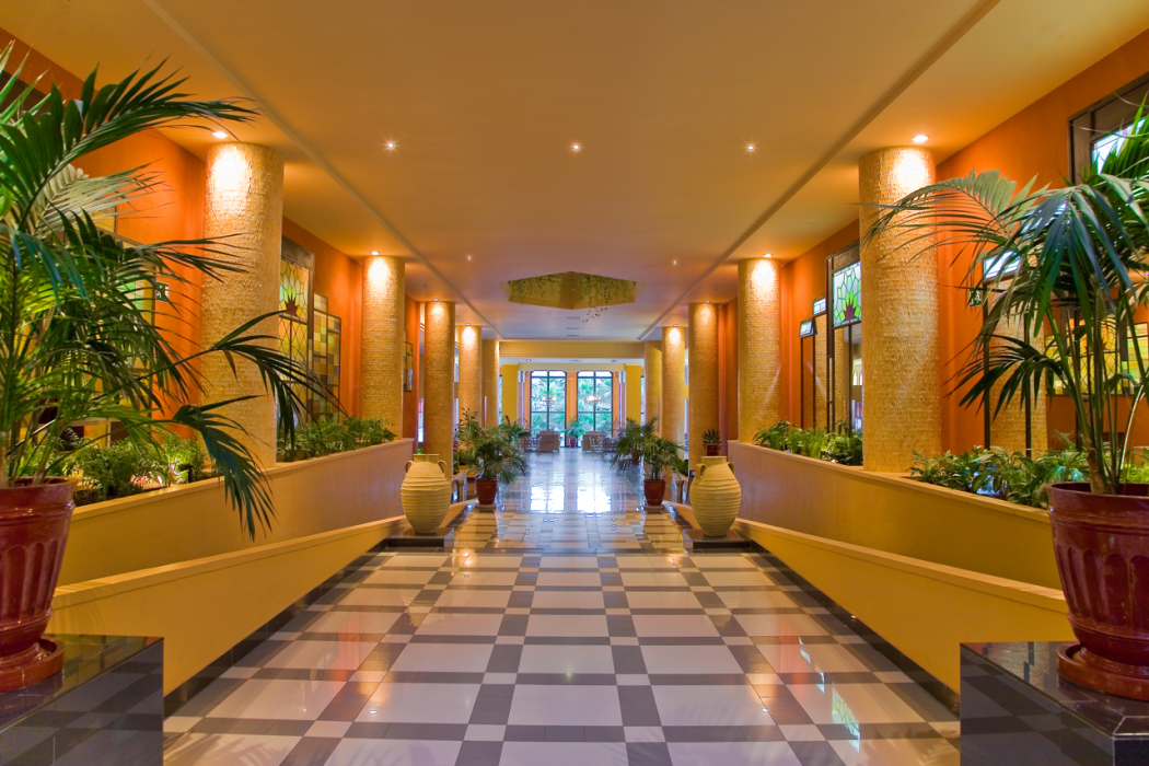 Playacanela Hotel 26/60