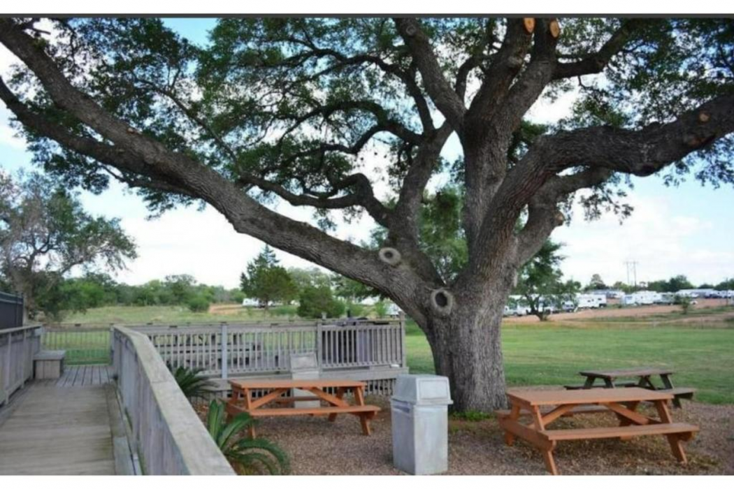 Hotel O Executive Inn & Suites Cuero Hwy 87 17/31