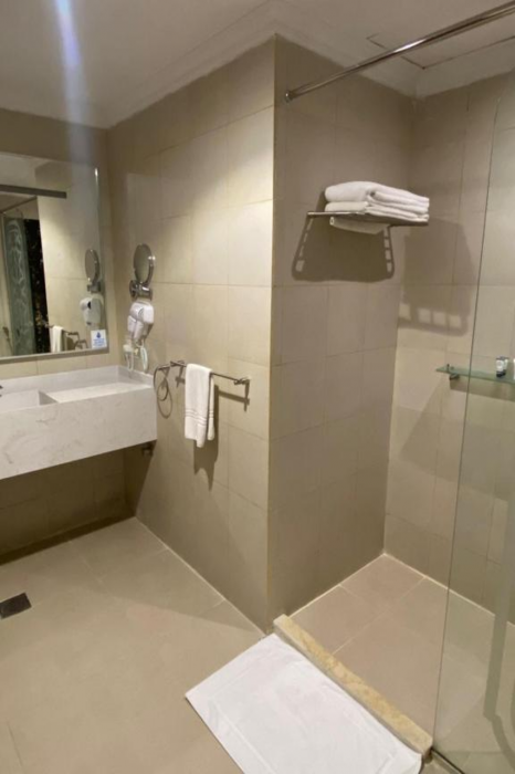 Elite Park Hotel Jeddah 11/20
