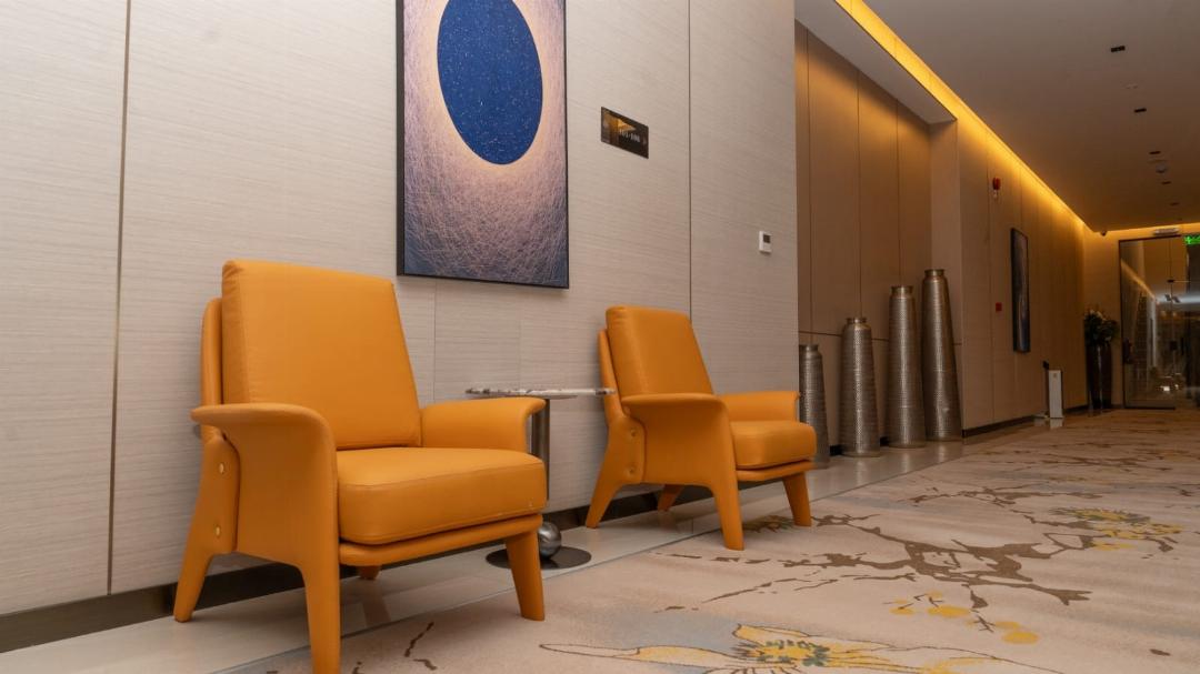 فندق روزا جراند غرناطة(Rosa Grand Hotel Granada) 24/53