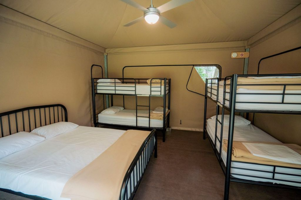 Habitat Noosa Everglades Ecocamp 17/65