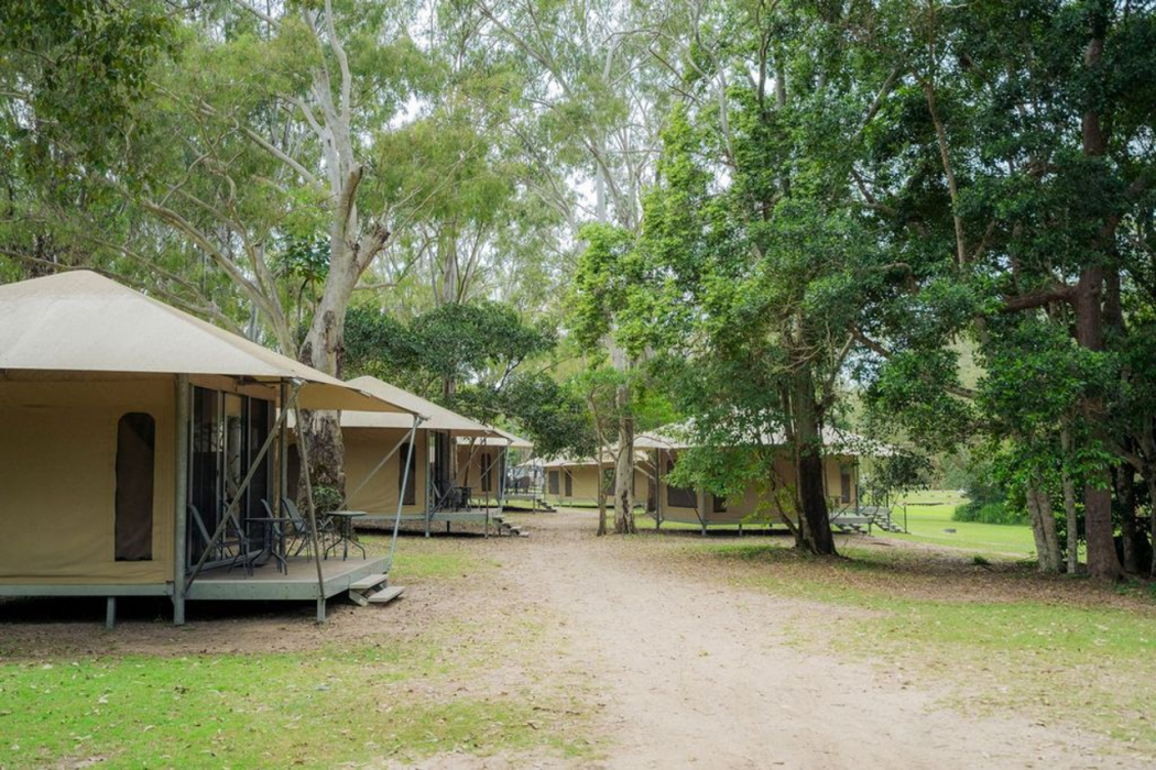 Habitat Noosa Everglades Ecocamp 32/65