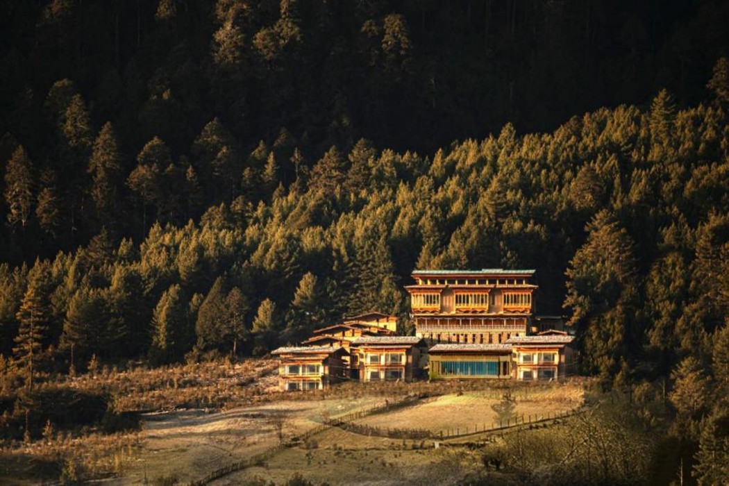 Taj Gangtey Resort & Spa, Bhutan 1/29