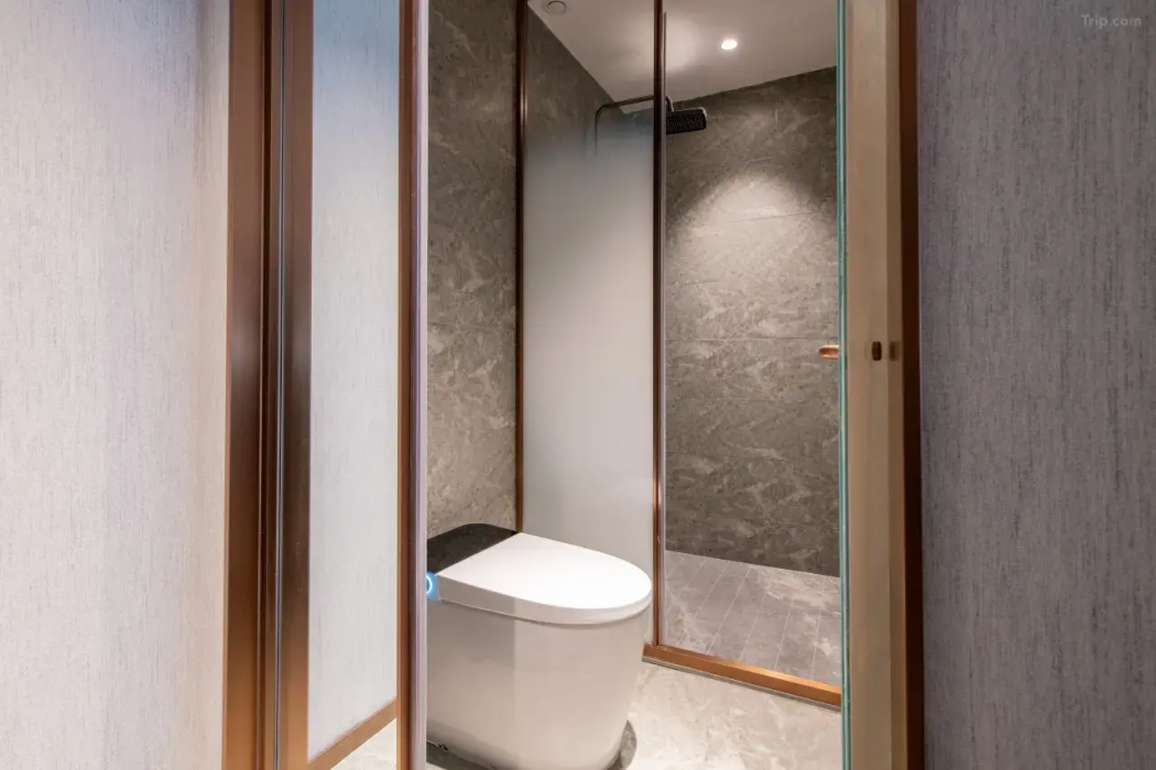 Shanghai Rezen Estelle Hotel (Nanjing Road Walkway Bund Branch 6/15
