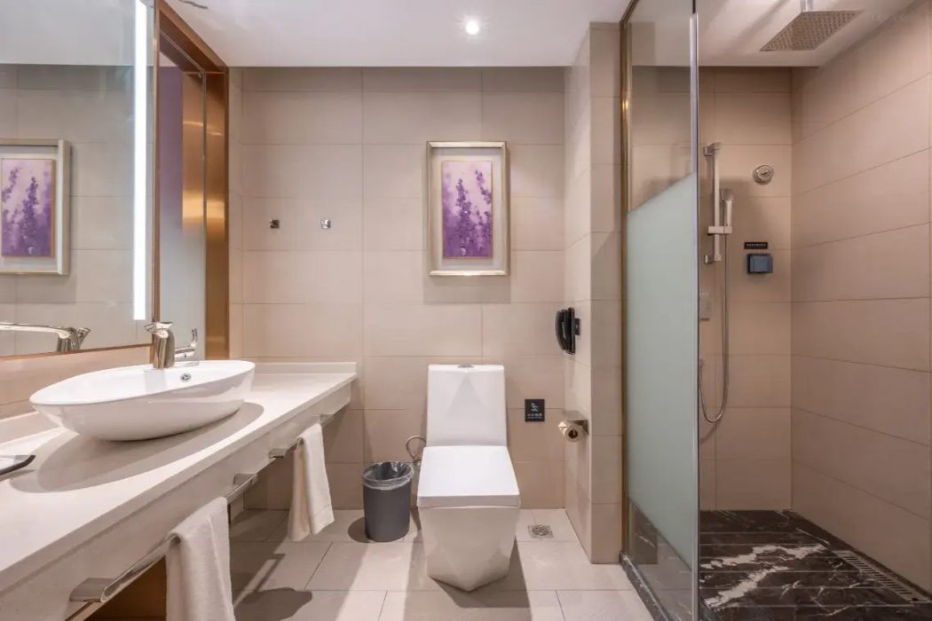 Lavande Hotel (Beijing Huilongguan North China Electric Power University Branch) 21/36