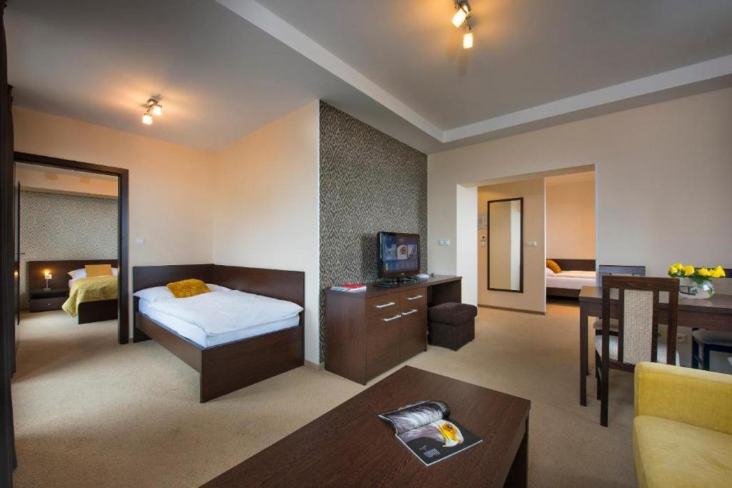 Panorama Hotel Strbske Pleso 26/85