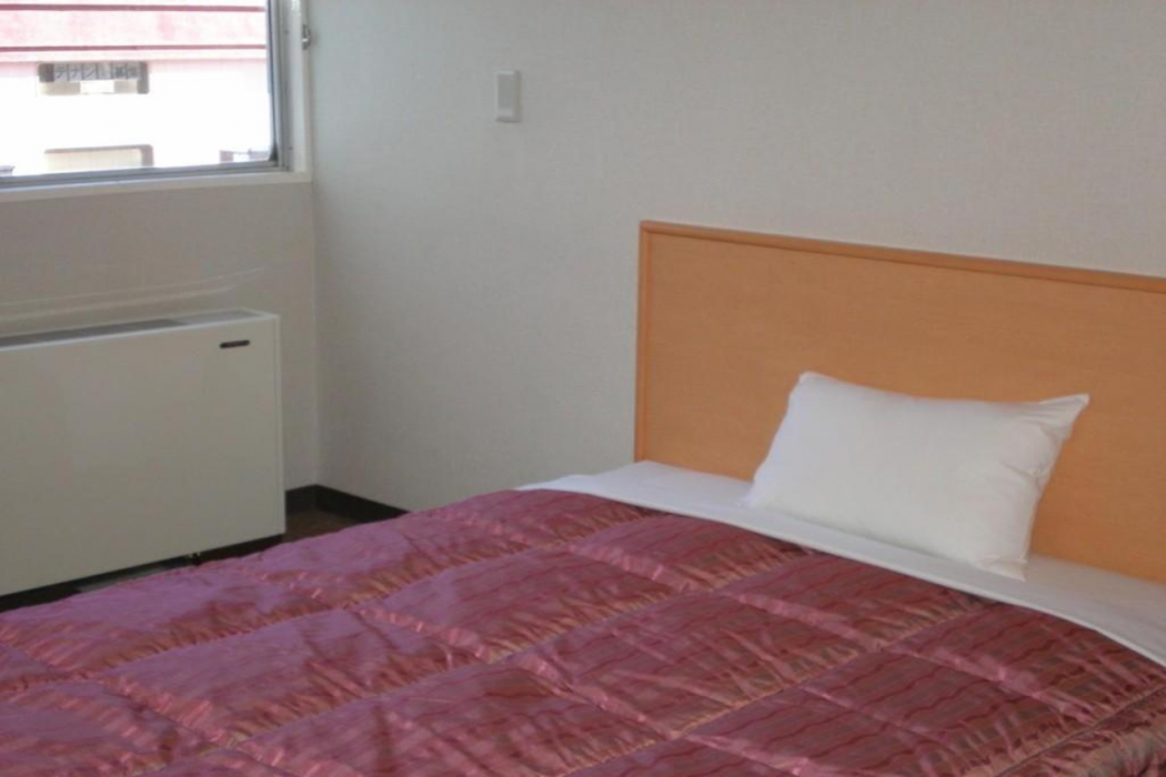 Takasaki Ekimae Plaza Hotel 6/33