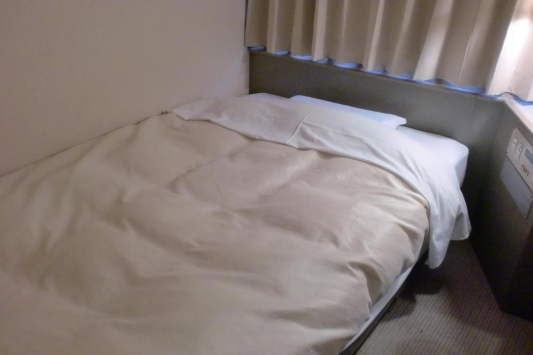 Tsuyama Central Hotel Annex 8/34