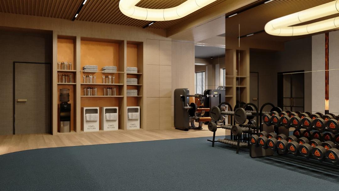 Radisson Blu Hotel, Almaty Airport 65/120