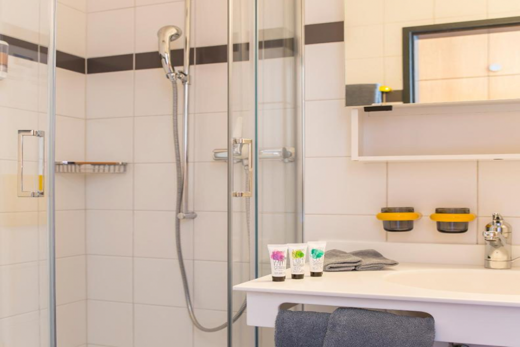Smart-HOTEL MINUSIO, a Swiss Quality Hotel 5/42