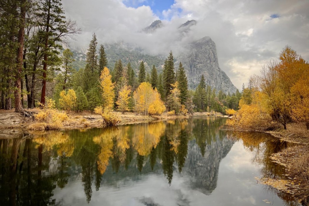 Blackberry Inn Yosemite 26/32