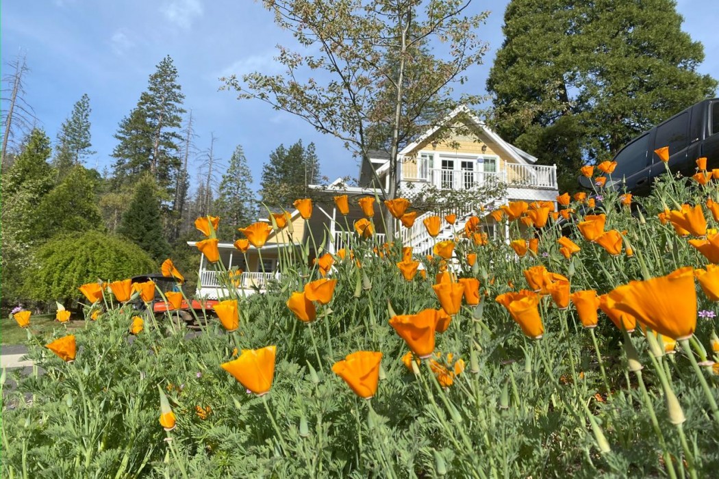 Blackberry Inn Yosemite in Groveland - CA