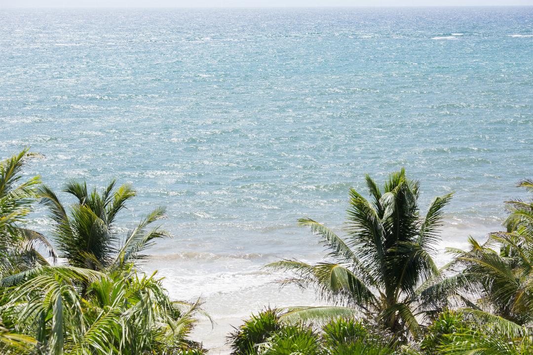 Olas Tulum 21/56