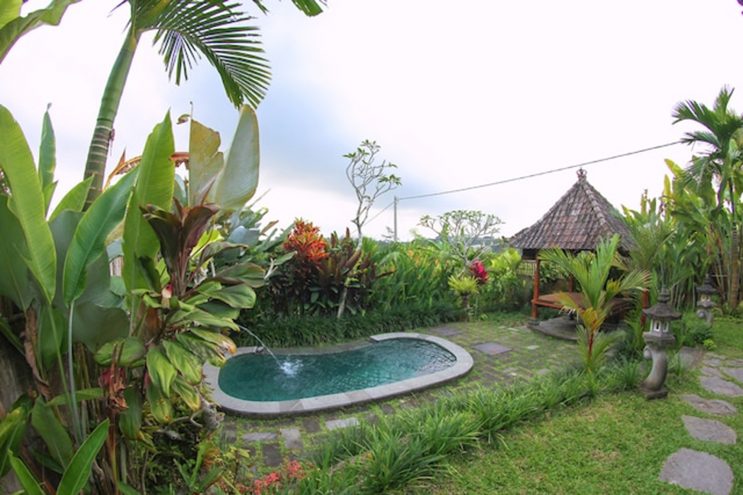 Belvilla Moksha Ceking Rice TerraceNearUbud Jungle Swing 23/33