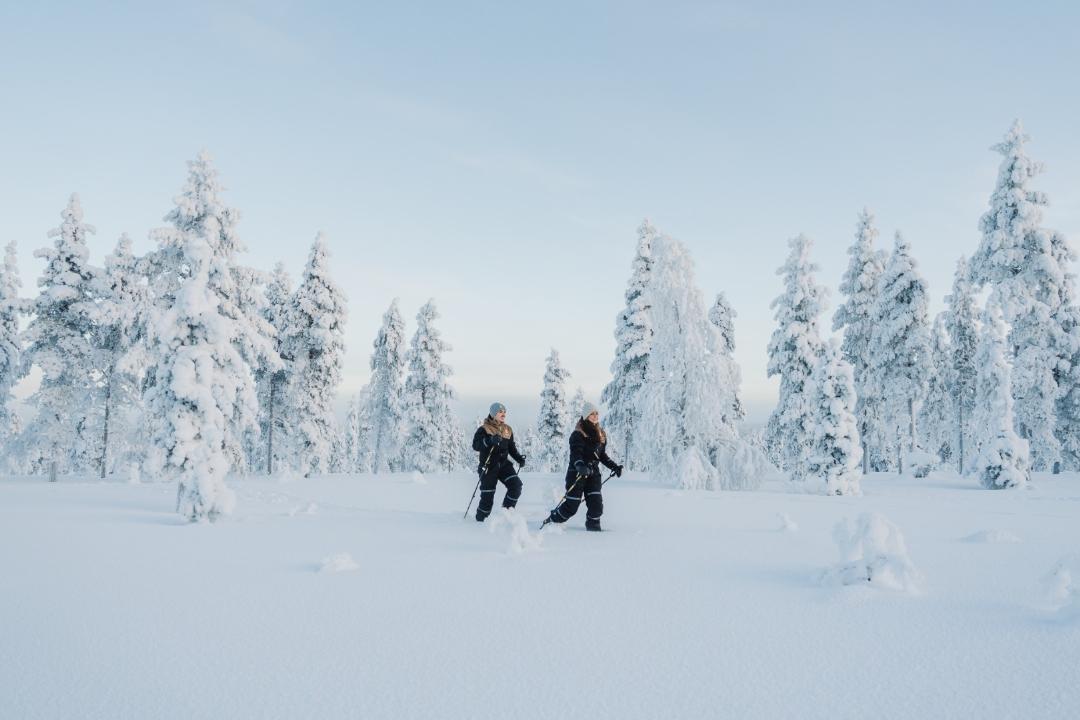 Wilderness Hotel Muotka 29/63